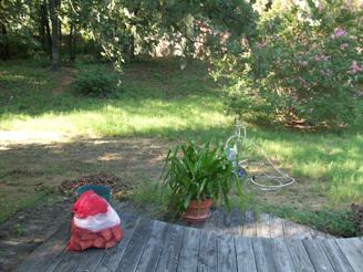 messy yard messy yard